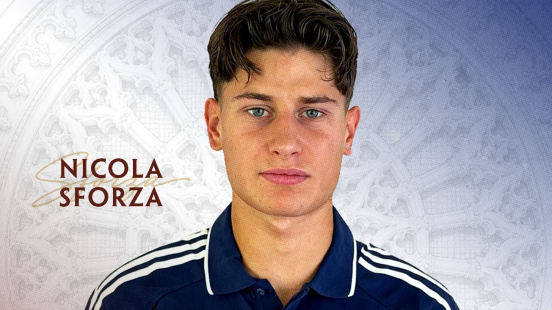 Nicola Sforza