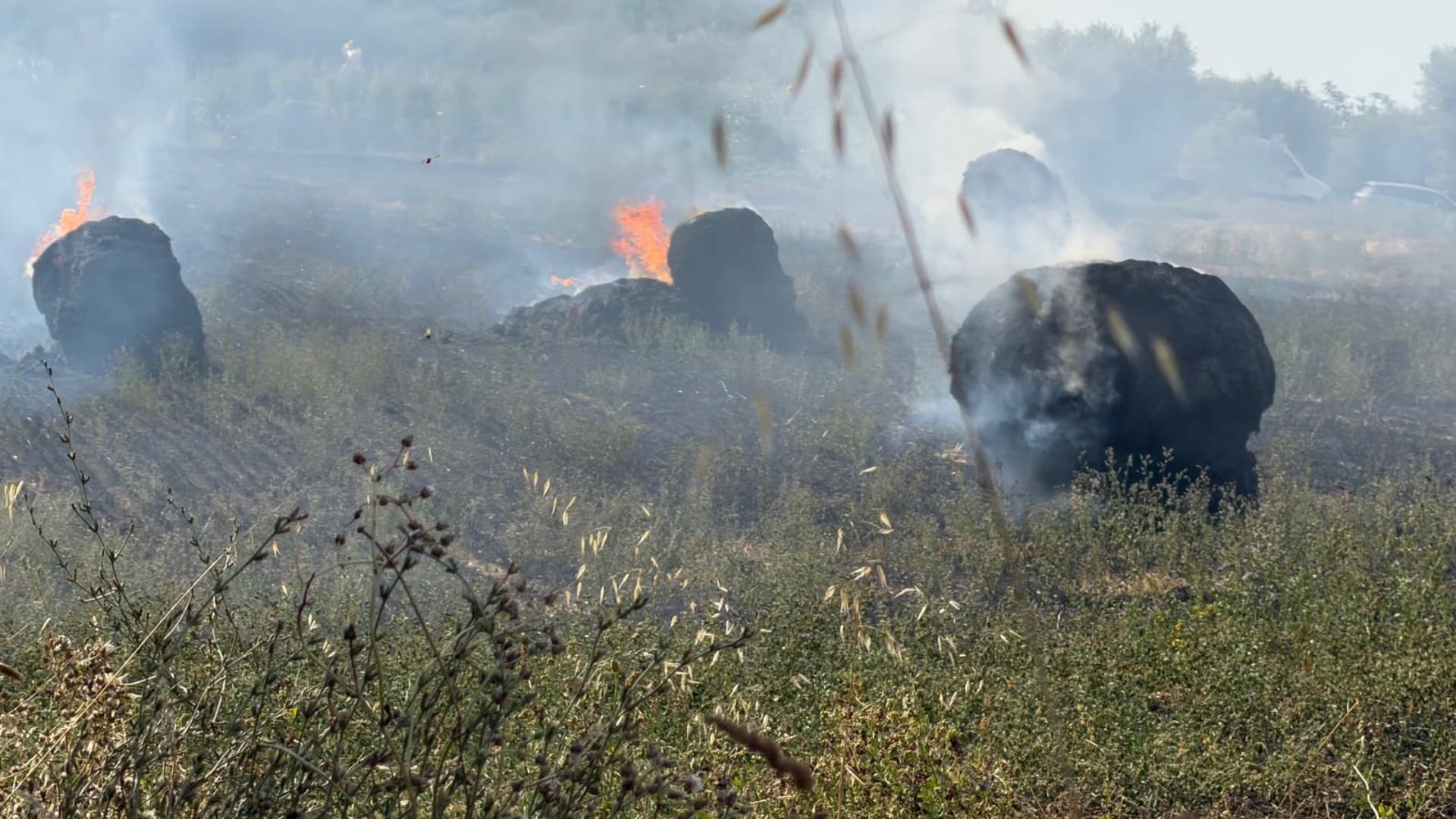 Le fiamme