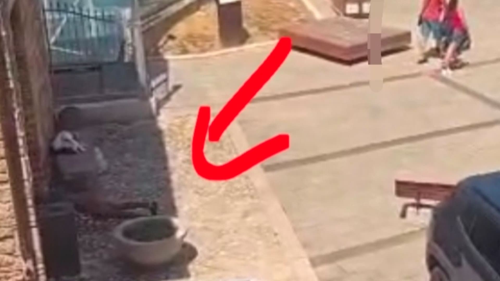 Tante le segnalazioni dei cittadini