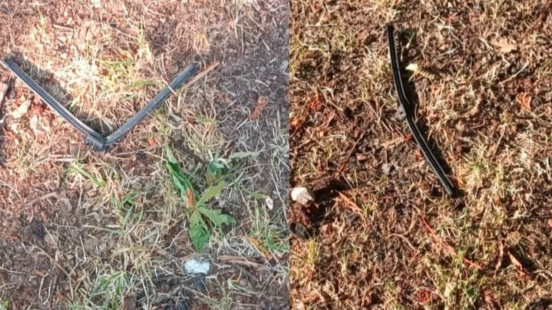 Teramo, raid vandalico a piazzale San Francesco: area verde invasa da spazzole di tergicristalli