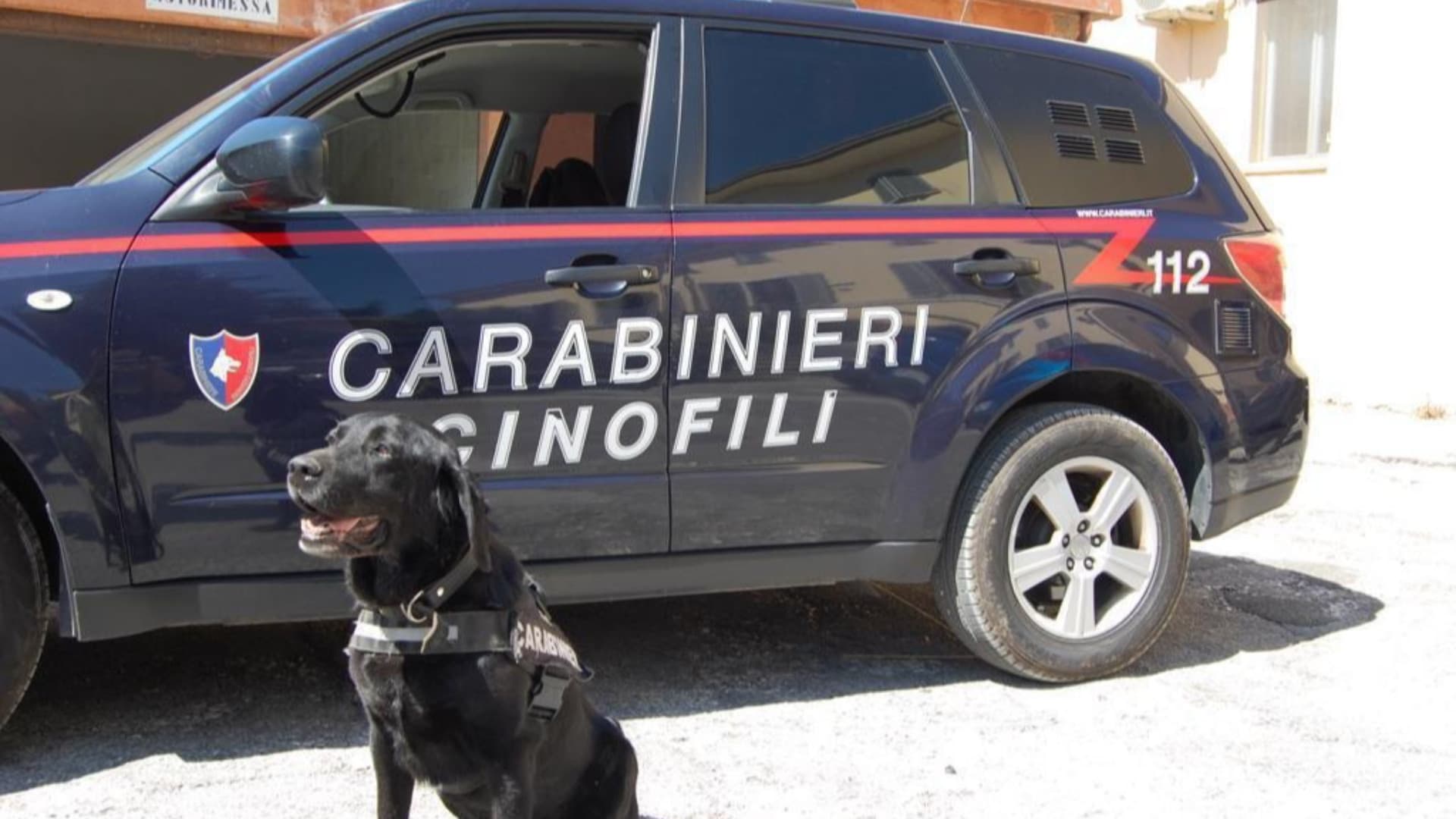 Carabinieri, controlli a tappeto nell'aquilano: stretta su droga, armi e guida in stato d'ebbrezza