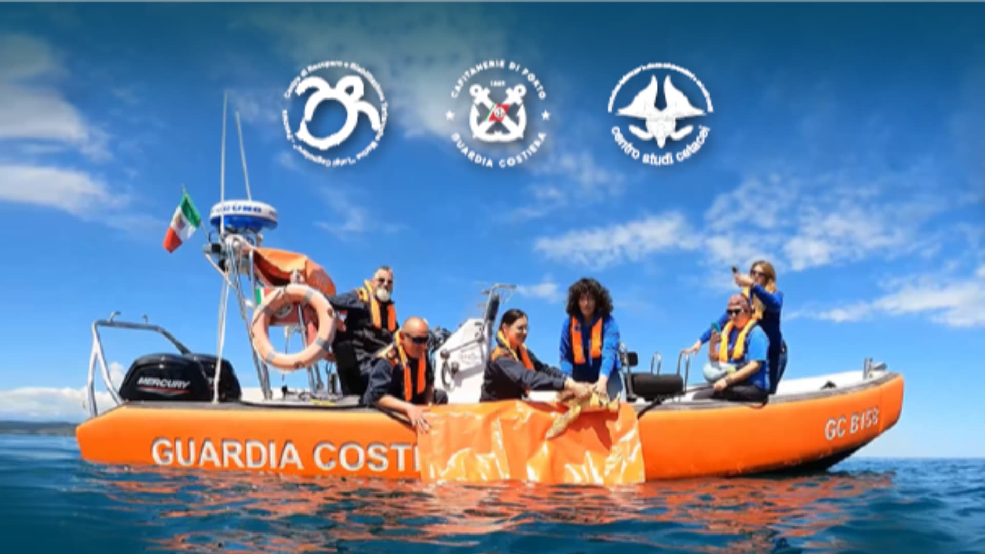 Giulianova, la tartaruga "Sobek" torna in mare: mercoledì la liberazione al porto