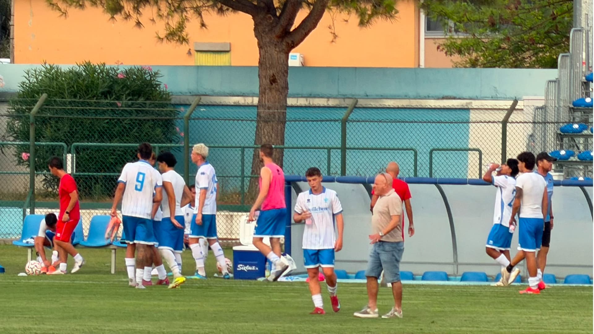 L'amichevole