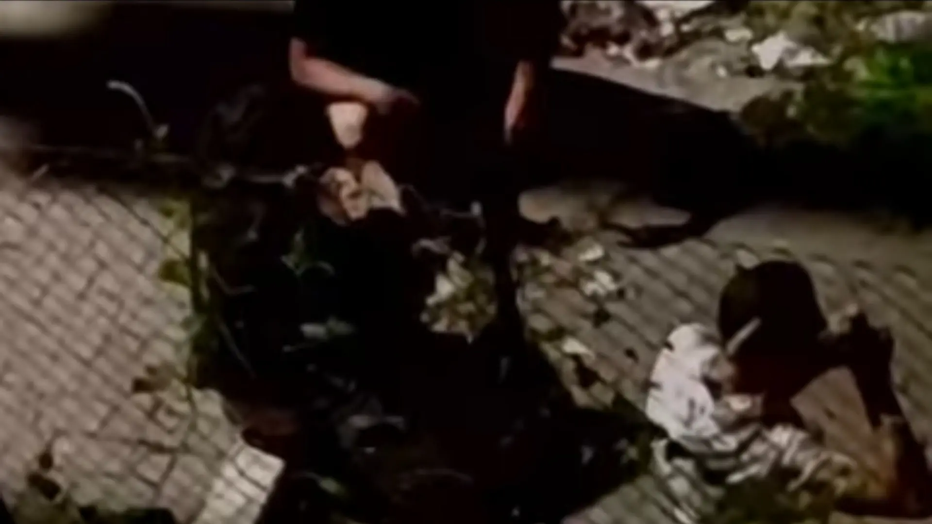 Una nuova segnalazione