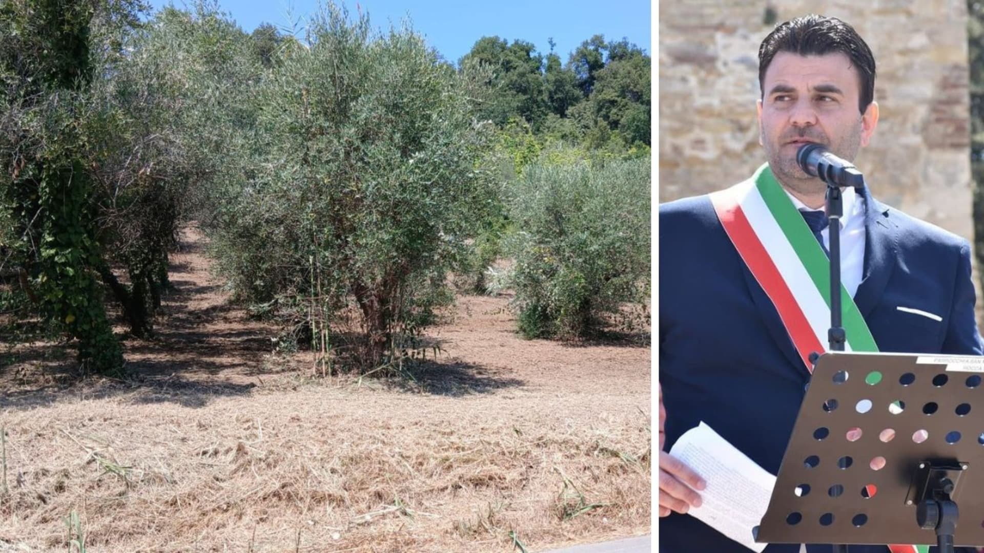 Un'area e il sindaco