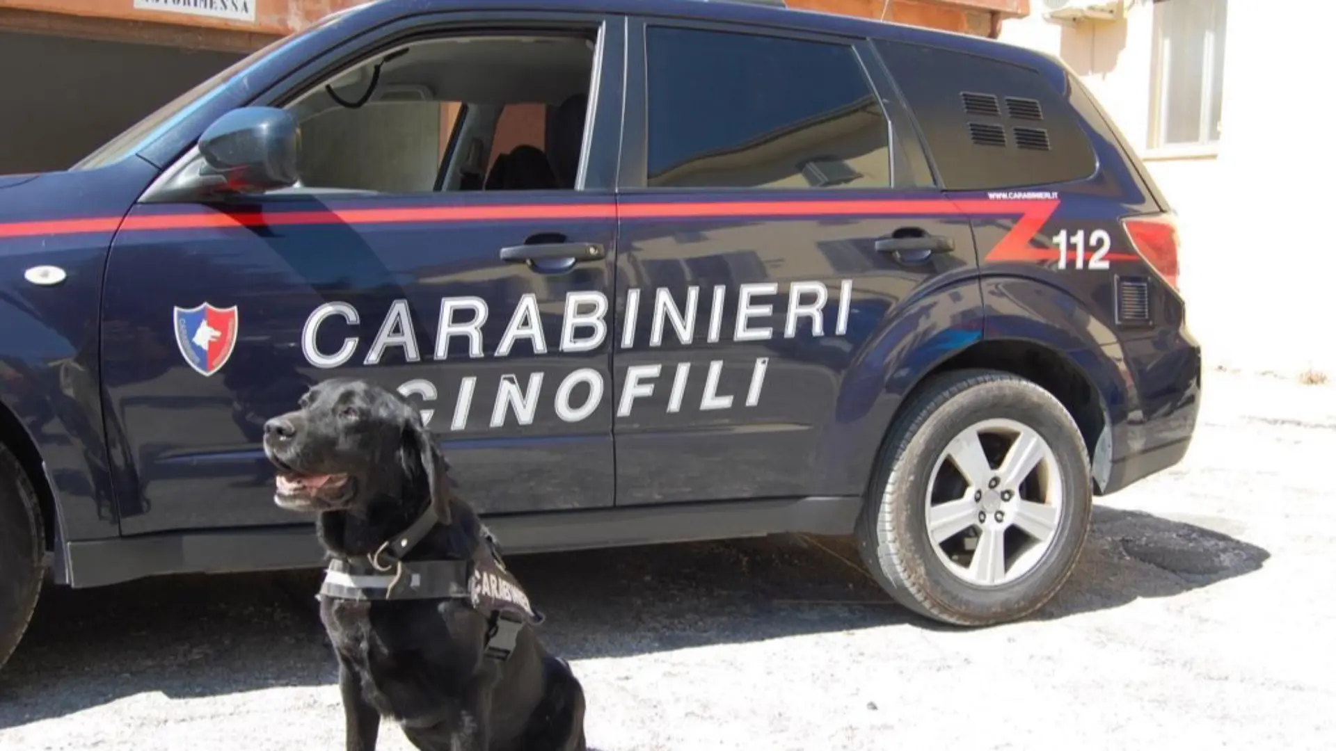 Carabinieri