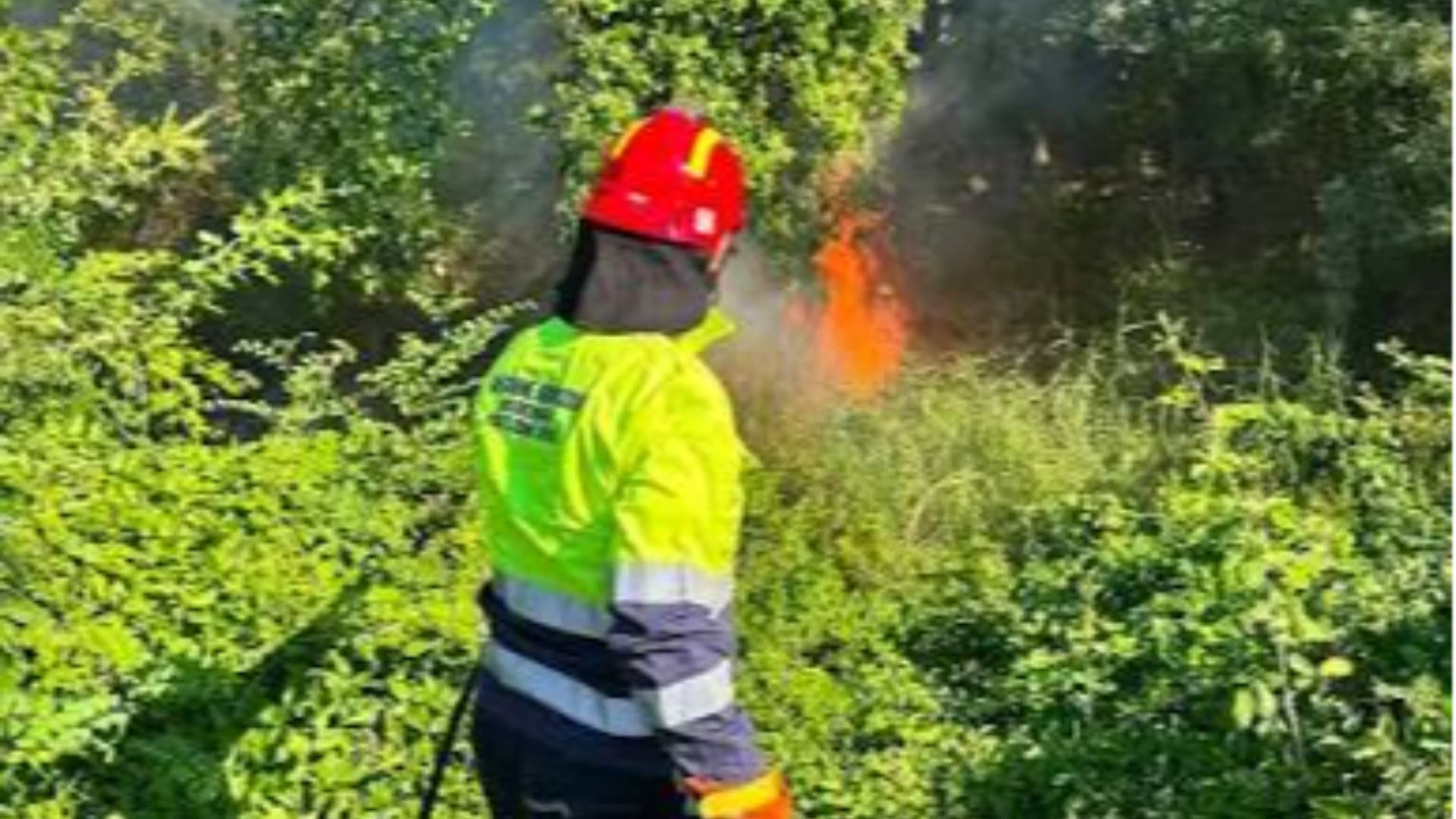 Nuovo incendio a Casalbordino in contrada Forconi