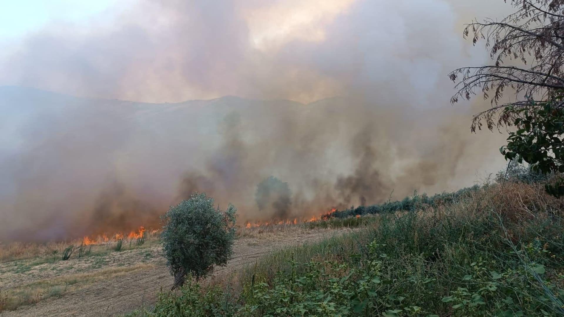 L'incendio