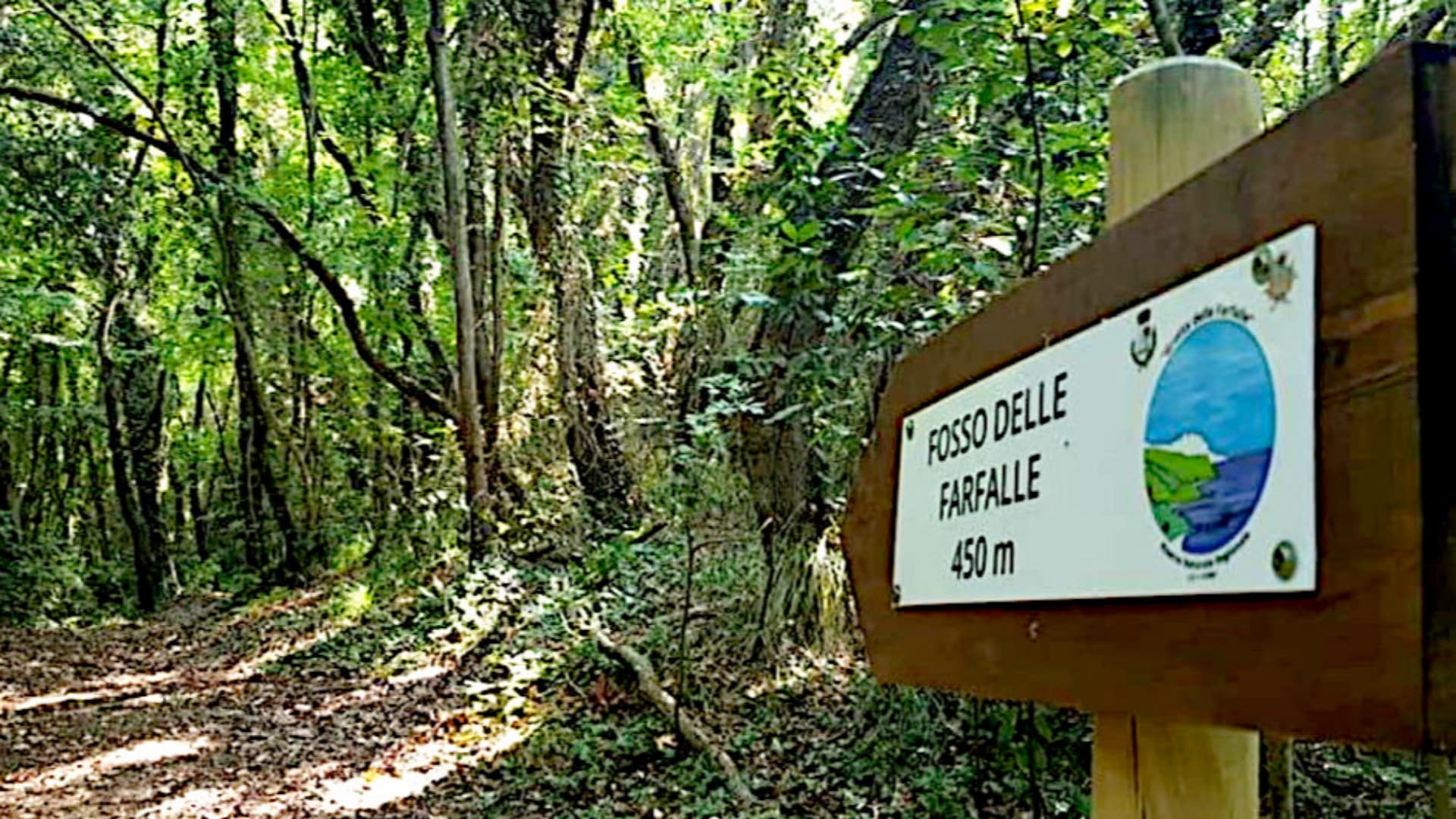 Grotta delle farfalle