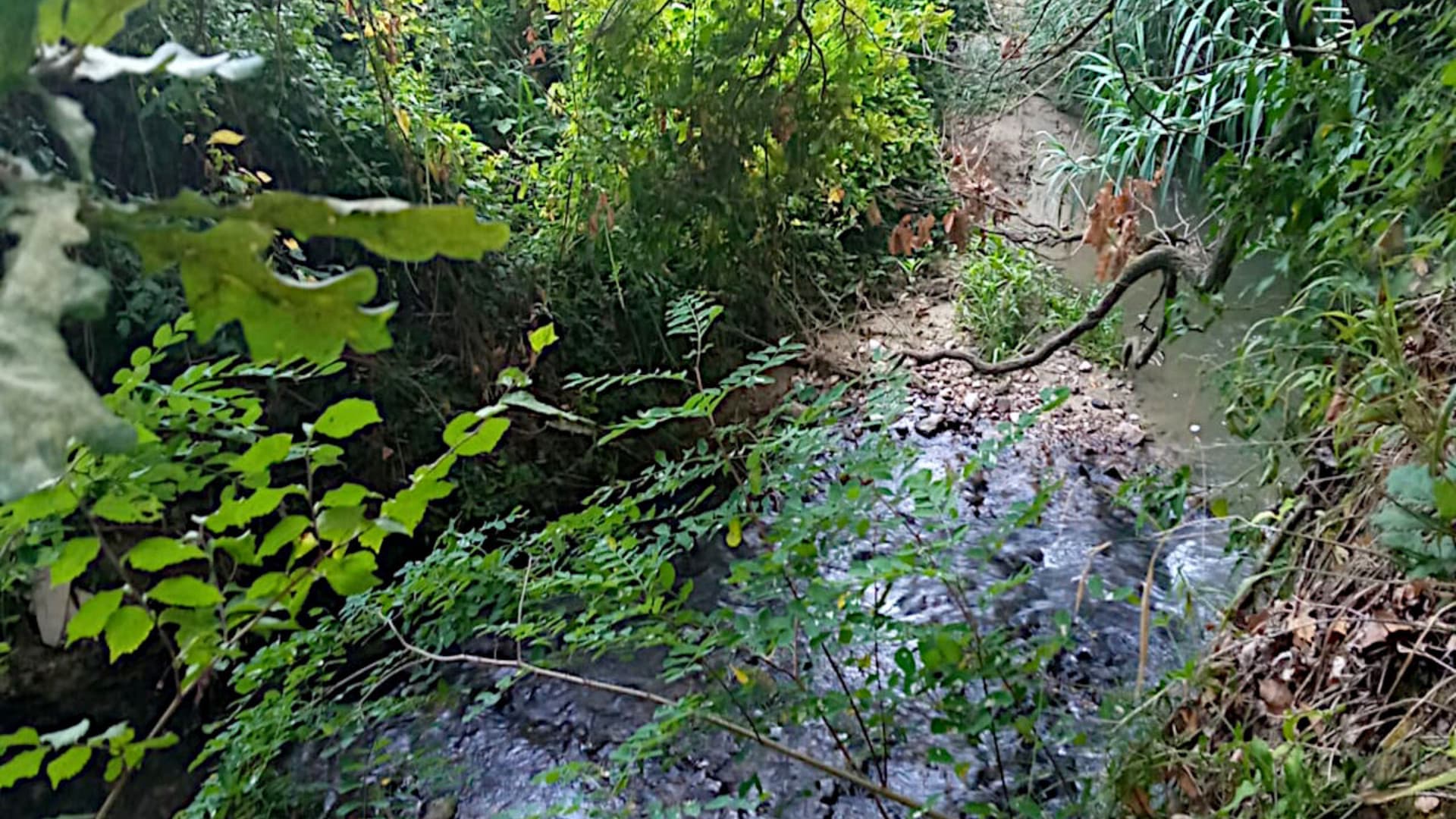 Fiume Feltrino