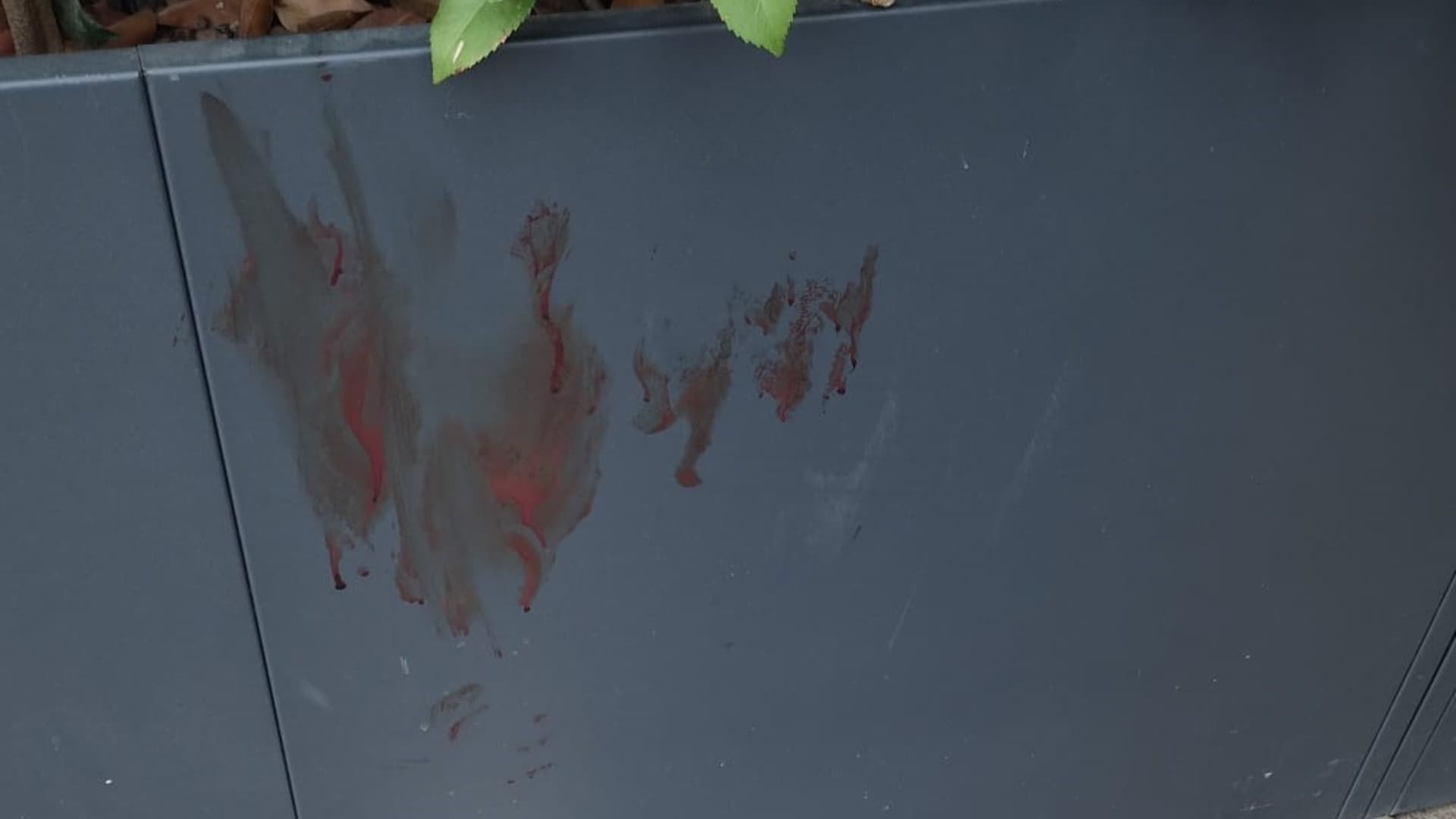 Piazza Martiri, notte ad alta tensione: rissa nel cuore di Teramo