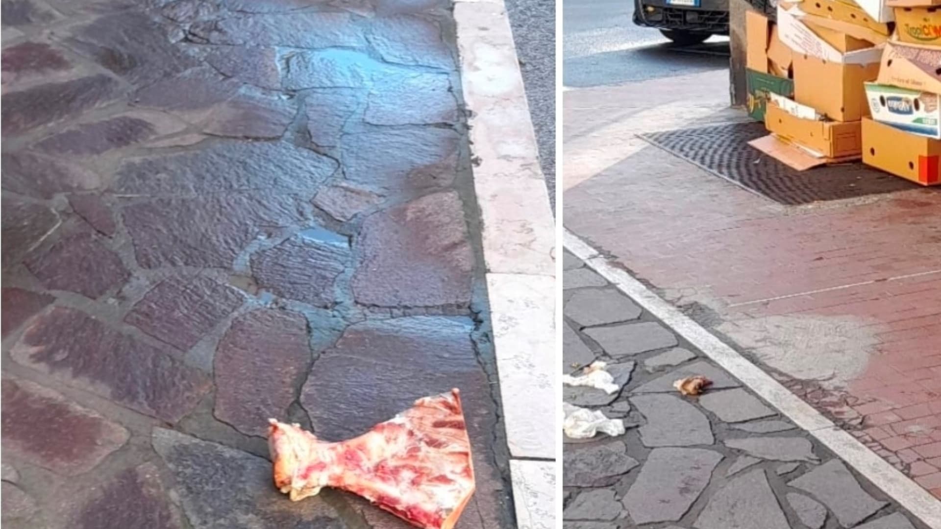 Teramo, viale Crucioli, scatoloni e pezzi di carne sui marciapiedi: chi controlla?