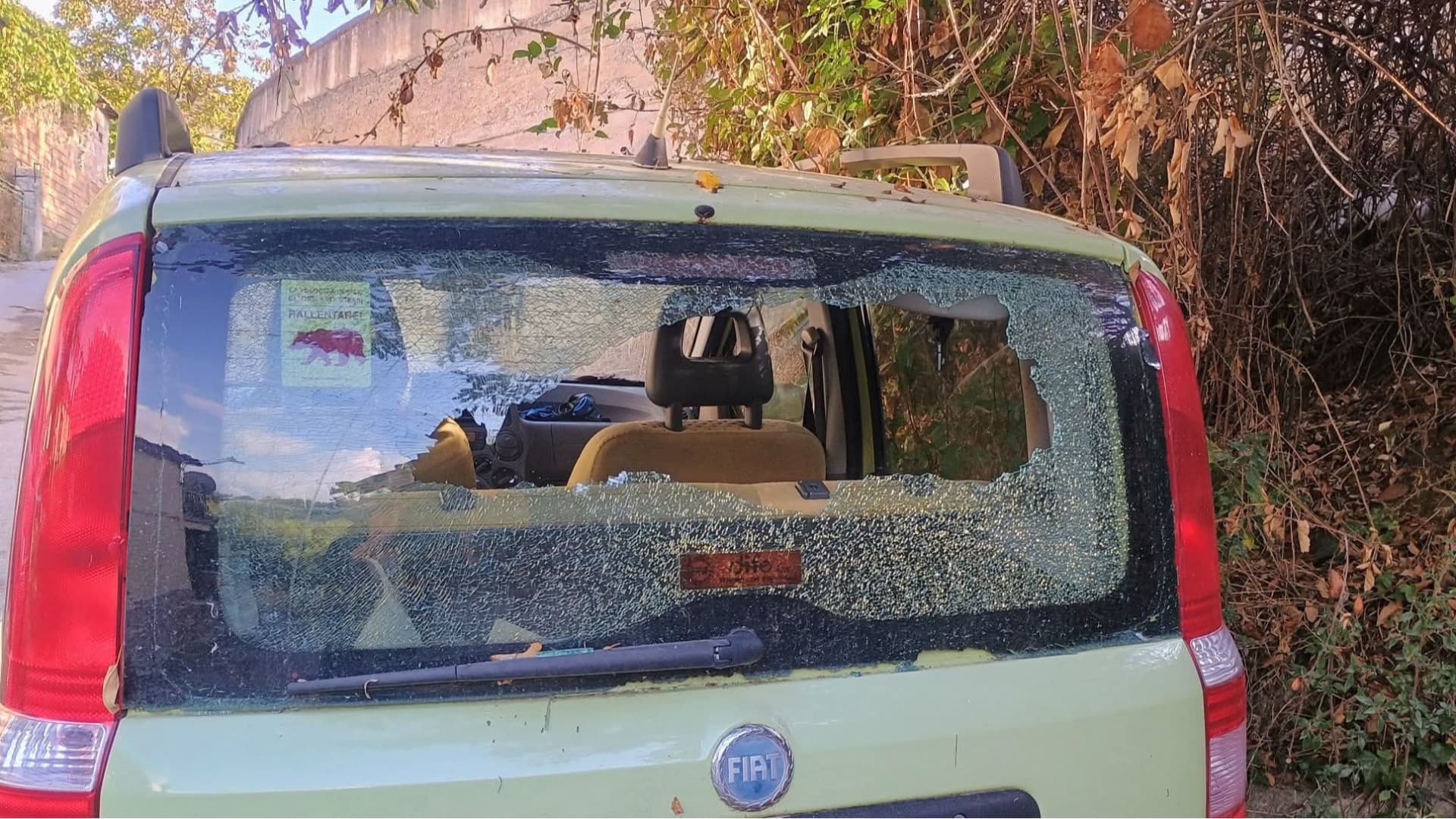 Auto vandalizzata a Brenda Marsilii, possibile ritorsione contro chi custodisce gli animali sequestrati