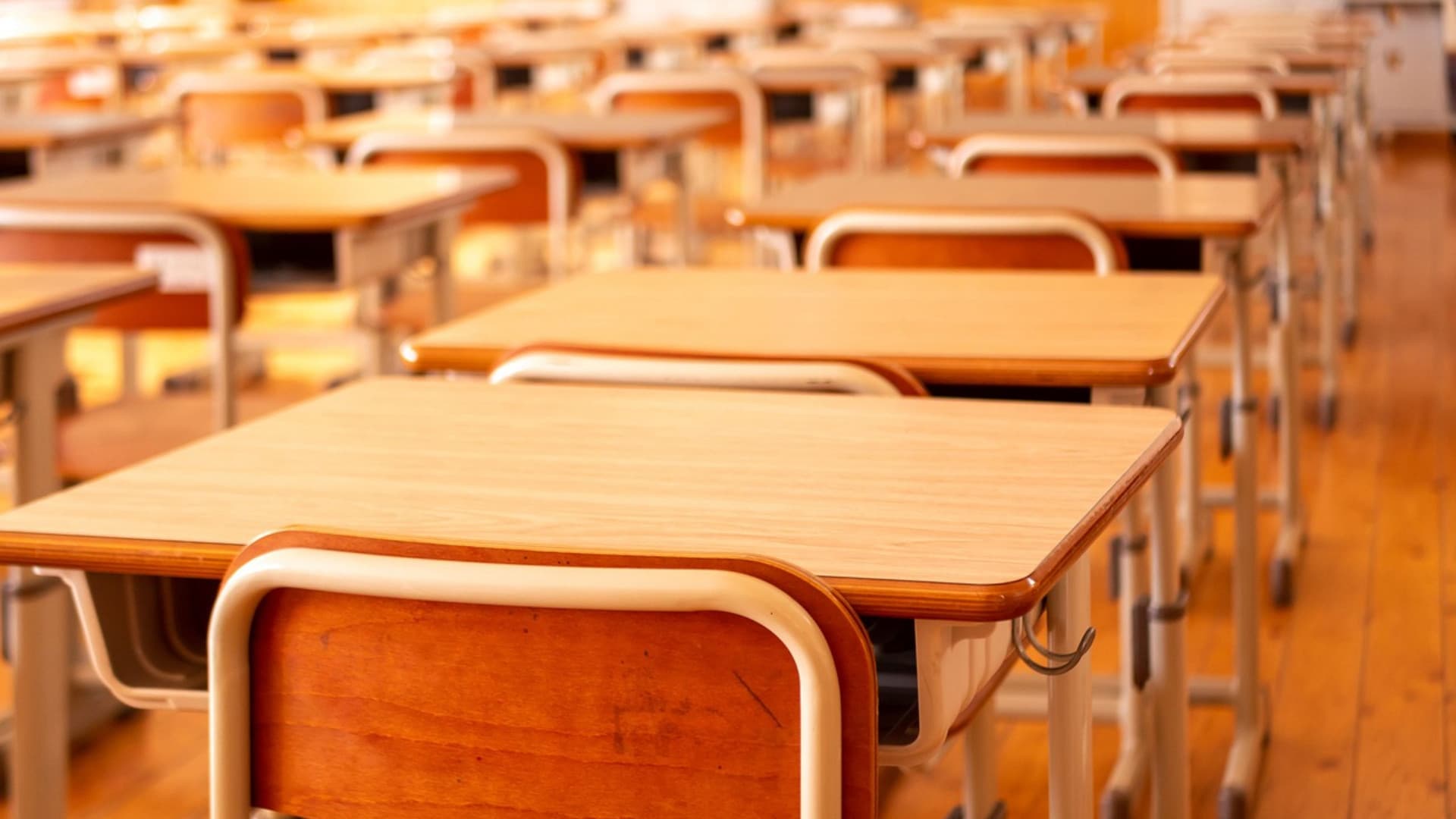 Famiglia nel bosco, bambini in una scuola pubblica: se ne discute in Corte d'appello
