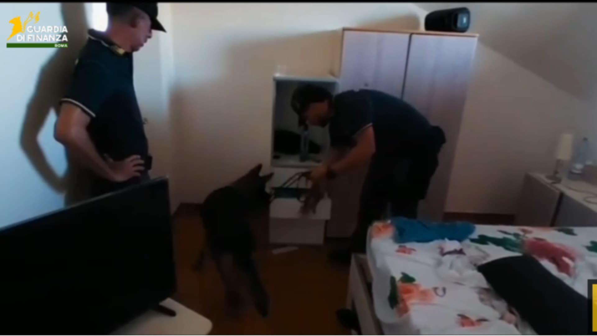 Scoperto un giro di droga tra Velletri e Teramo: sei arresti e sequestri per 70mila euro