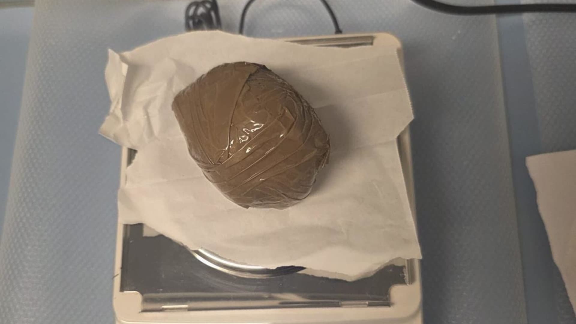 Il lagotto Fulmine cerca tartufi e trova... 270 grammi di cocaina: la scoperta nei boschi di Corropoli