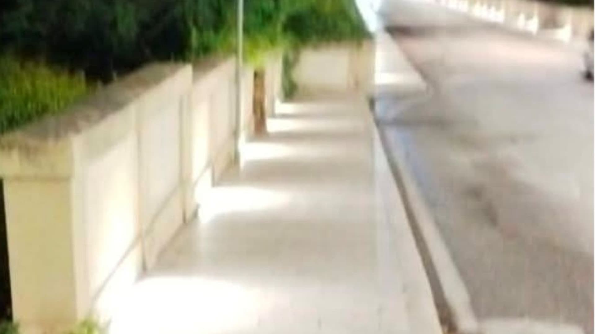 La struttura